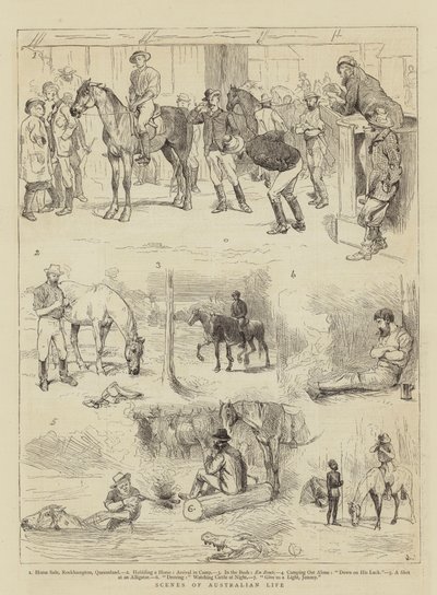 Scenes of Australian Life by Alfred Chantrey Corbould